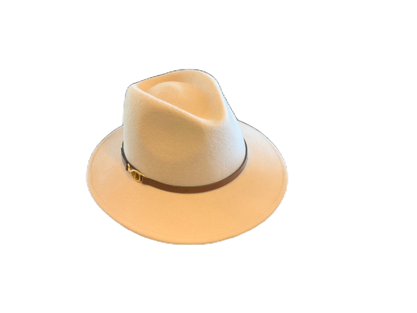 Fedora 14739