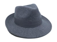 Fedora "070427"